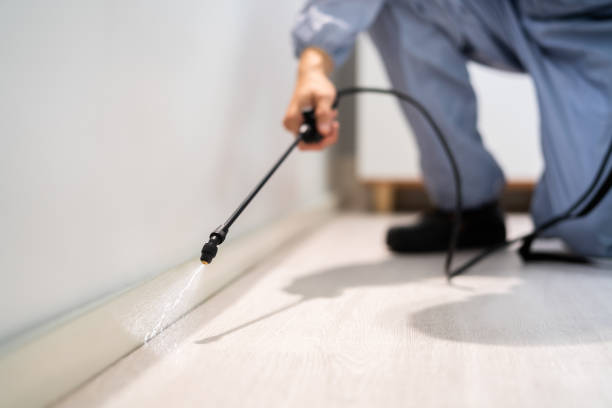 Licensed Fumigation Services service in San Benito, TX - Nex Pest Control