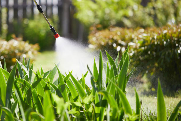 24/7 Emergency Fumigation Services experts in San Benito, TX