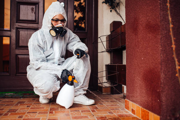 Reliable Fumigation Services contractor in San Benito, TX by Nex Pest Control